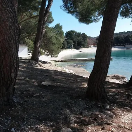 Near Appartement